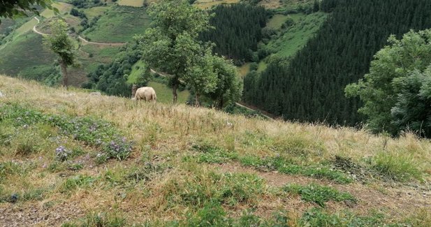 Asturias Rural