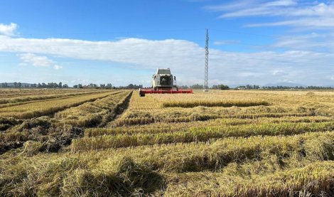 EpAgro - Agricultura