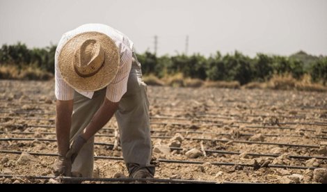 EpAgro - Agricultura
