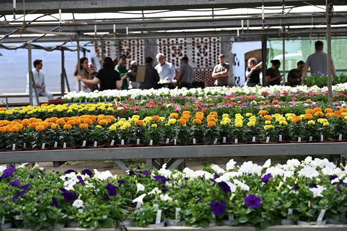 La Diputación de Cáceres comienza el reparto de 47.000 plantas para embellecer los municipios
