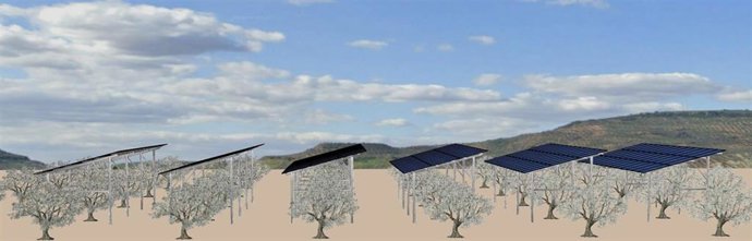 Infografía del proyecto