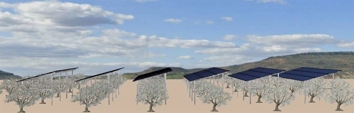 Infografía del proyecto