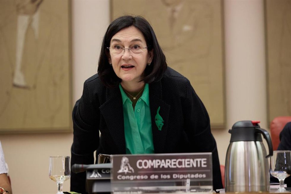 Archivo - La presidenta de la Comisión Nacional de los Mercados y Competencia (CNMC), Cani Fernández
