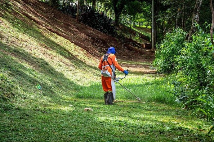 Transición Ecológica impulsa la formación en empleos verdes con 12,6 millones de euros para 42 proyectos.