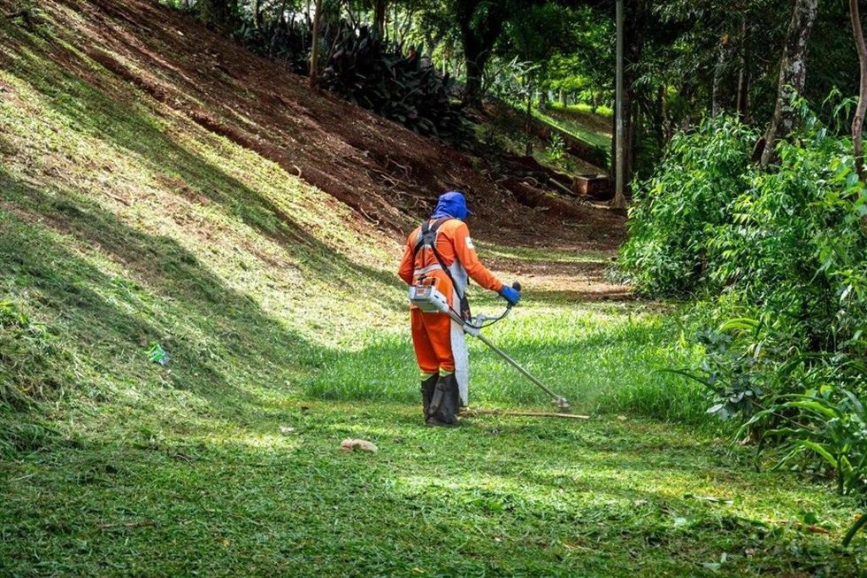 Transición Ecológica impulsa la formación en empleos verdes con 12,6 millones de euros para 42 proyectos.