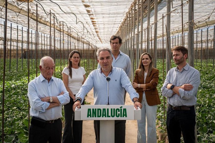 El vicesecretario de Coordinación Autonómica, Local y Análisis Electoral del PP, en una rueda de prensa.