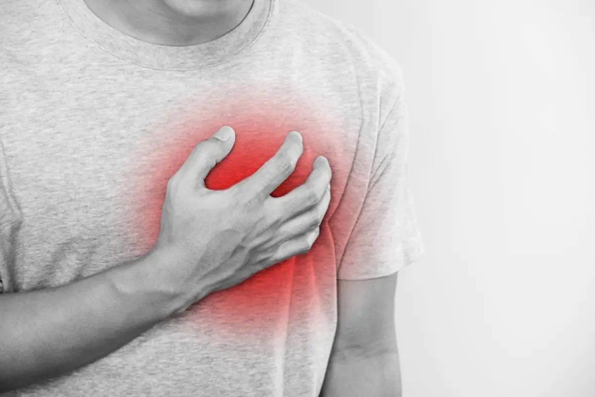 Imagen de un corazón humano