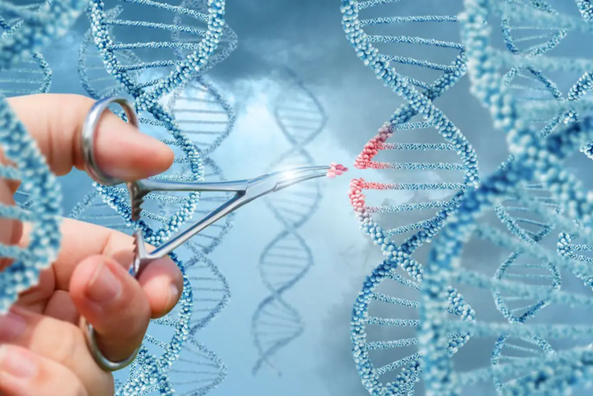 CRISPR, edición genética