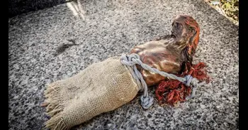 Denuncian la profanación de una tumba en Soria por un posible ritual de santería al hallarse un cristo mutilado