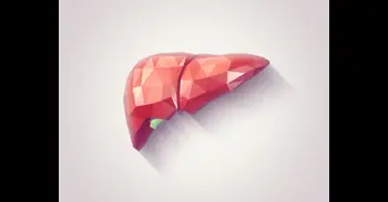 Una investigación vincula la microbiota intestinal con la gravedad del hígado graso