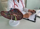 Foto: Un estudio revela un mecanismo clave en el desarrollo de la fibrosis hepática que abre la puerta a nuevas terapias