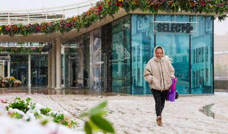 notibrasil sociedade