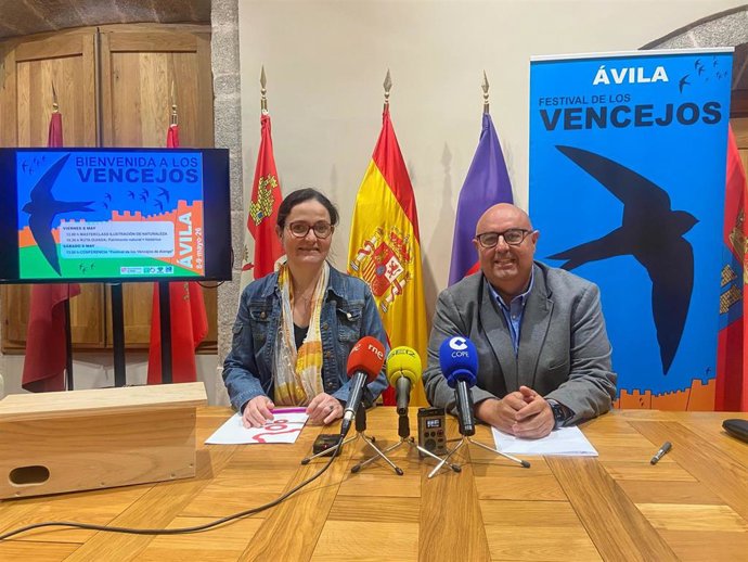 Ávila Dará La Bienvenida A Los Vencejos Los Días 8 Y 9 De Mayo Y Dedicará Un Festival A Esta Ave En Junio