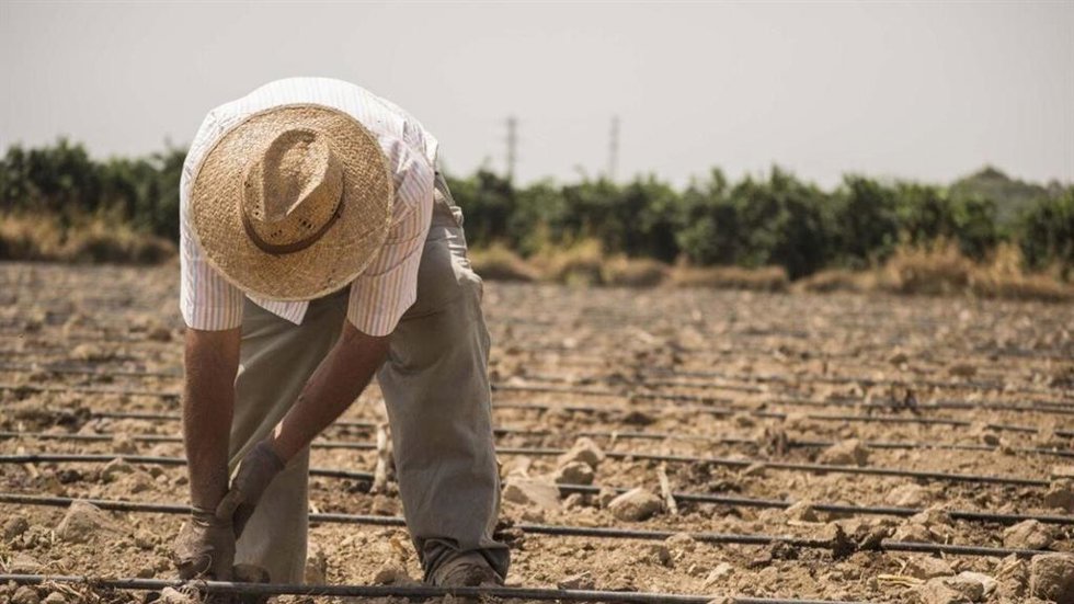 Trabajador en el campo en imagen de archivo.