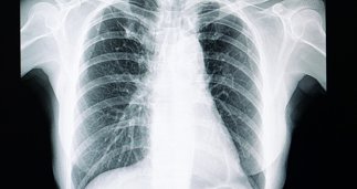 notibrasil sociedade