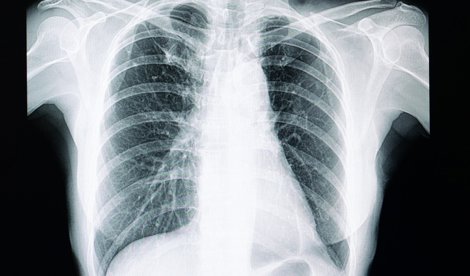 notibrasil sociedade