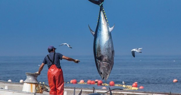 EpAgro - Pesca