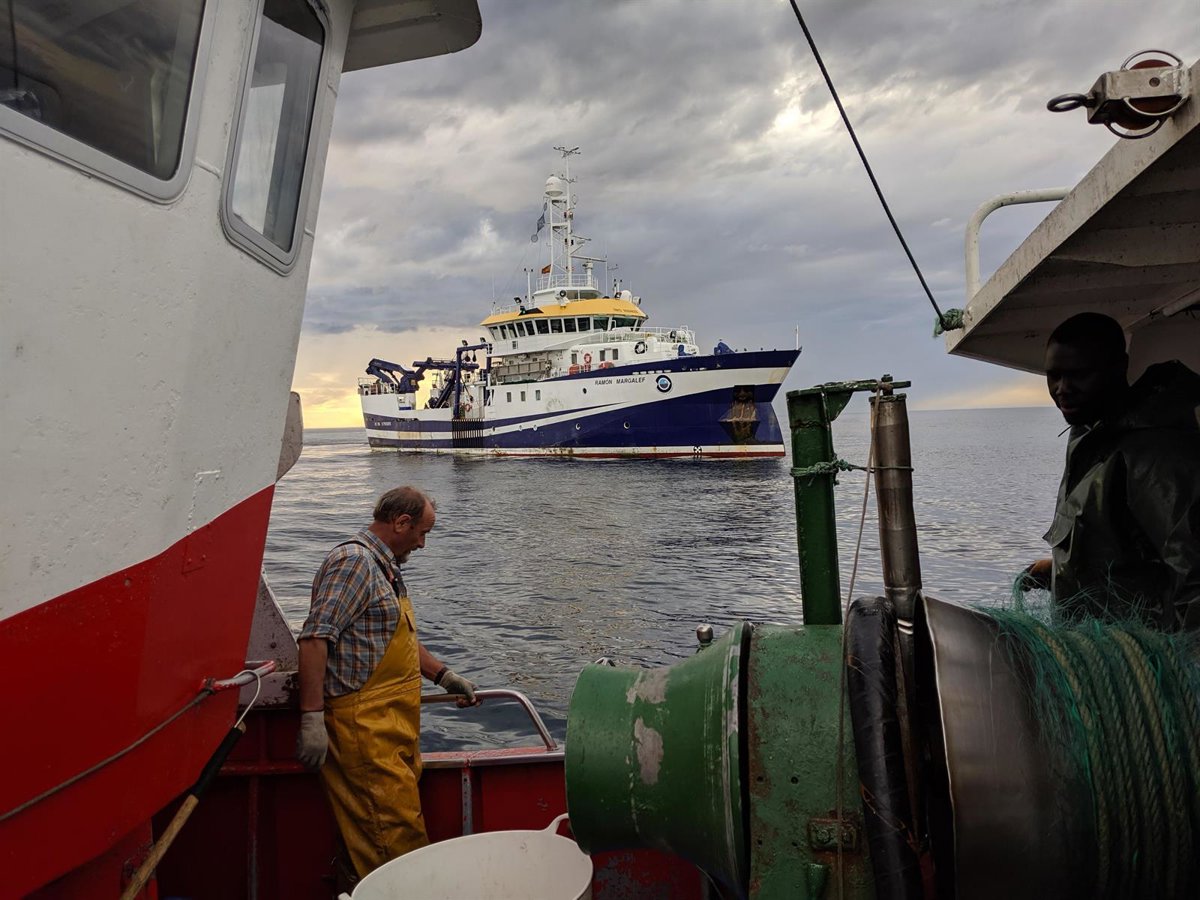 IEO de Santander constata que las flotas con menor huella ecológica asumen el mayor coste de las medidas de conservación