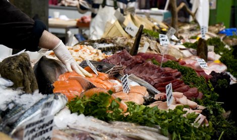 notibrasil sociedade