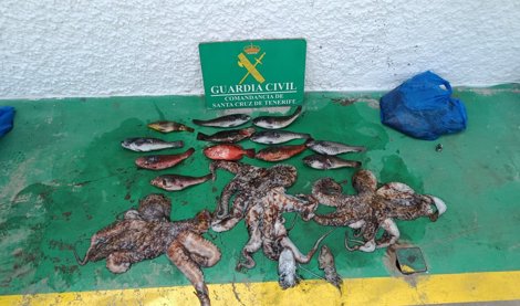 Islas Canarias