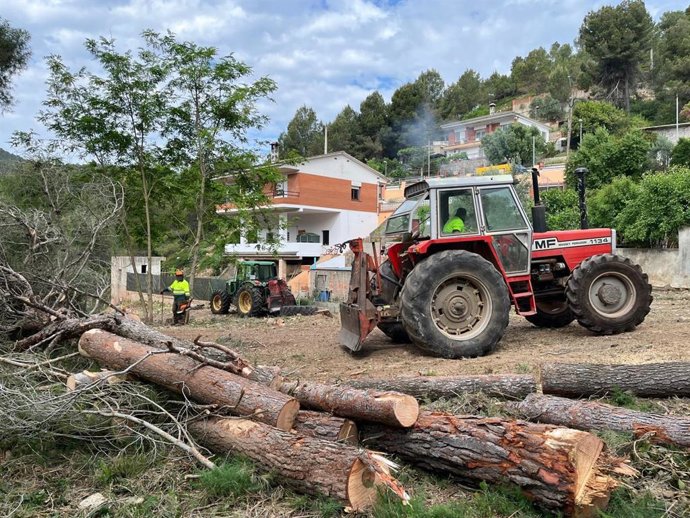 Actuaciones para crear franjas de protección en Corbera de Llobregat (Barcelona)
