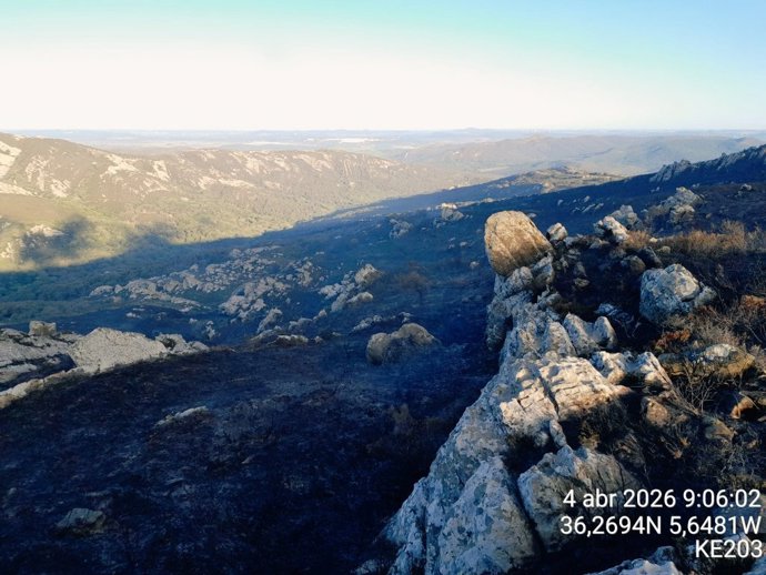 Zona quemada en el incendio forestal de Medina de principios de abril.