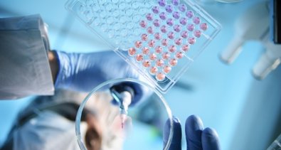 Laboratorio