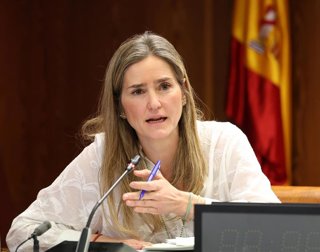 Archivo - La ministra para la Transición Ecológica y el Reto Demográfico, Sara Aagesen, durante su comparecencia ante la Comisión de Investigación sobre el apagón, en el Senado, a 23 de marzo de 2026, en Madrid (España).