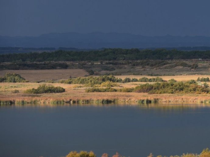 Archivo - Humedal Singular de la Laguna de Sariñena.