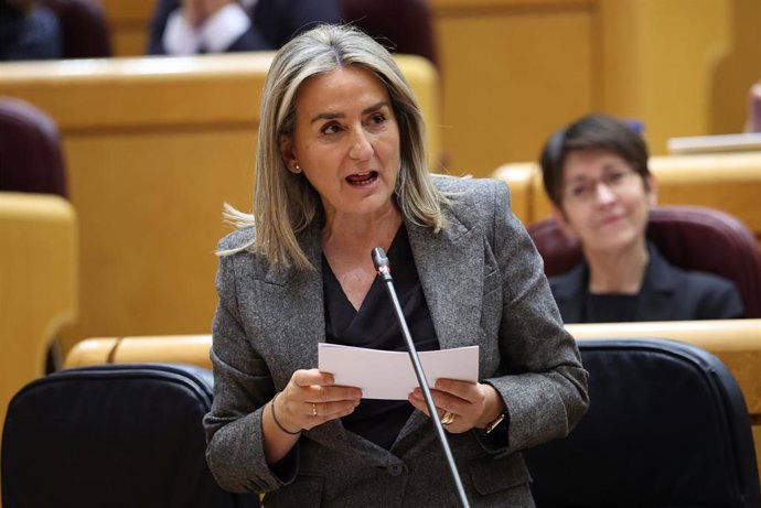 Archivo - La ministra de Educación, Formación Profesional y Deportes, Milagros Tolón, interviene durante una sesión plenaria en el Senado, a 3 de febrero de 2026, en Madrid (España).