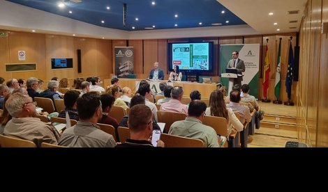 Es Andalucía - Córdoba