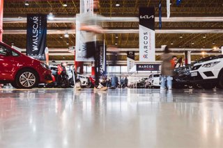 Imagen de archivo de Firauto