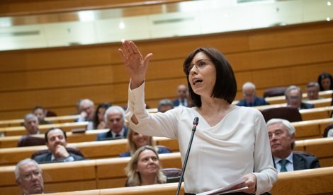 notibrasil sociedade