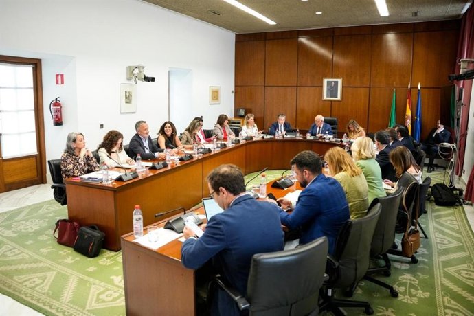 Reunión de la Diputación Permanente del Parlamento andaluz.