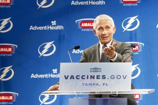 Archivo - Anthony Fauci, exdirector del Instituto Nacional de Alergias y Enfermedades Infecciosas 