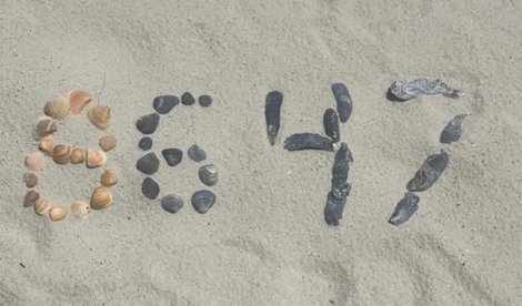 notibrasil política