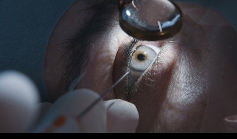 Investigación
