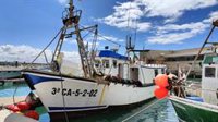 El sector de la pesca artesanal de Cádiz lamenta que el reparto de cuota de atún los aboca a la desaparición