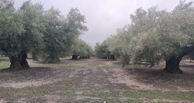 Andalucía