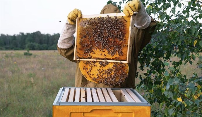 La España rural, protagonista de los VII Premios BBVA a los Mejores Productores Sostenibles