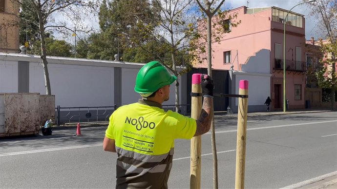 Un operario de Parques y Jardines, en labores de plantación, como imagen de recurso.