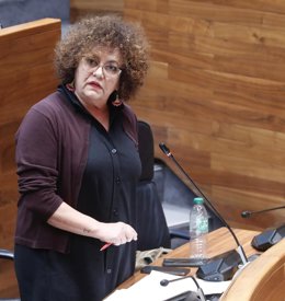 La consejera de Derechos Sociales, Marta del Arco, en el Pleno.