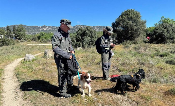 Agentes Forestales de la Comunidad de Madrid junto a perros de la unidad canina