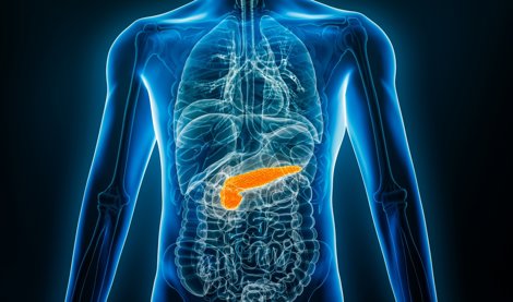 notibrasil sociedade