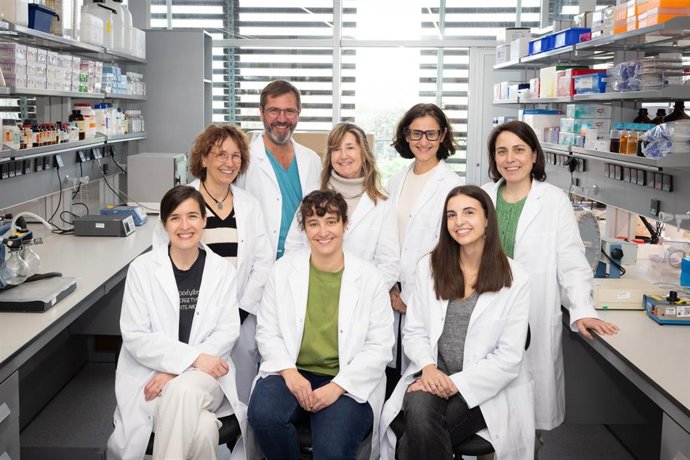 Archivo - Grupo investigador