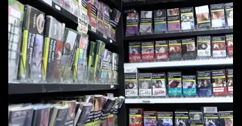 Médicos y científicos europeos que abogan por la reducción de daño piden a la UE regular el tabaco en función al riesgo