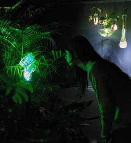 El IVAM se sumerge en la "fabulación ecológica" de Tania Candiani en una muestra que navega entre lo real y lo ficticio