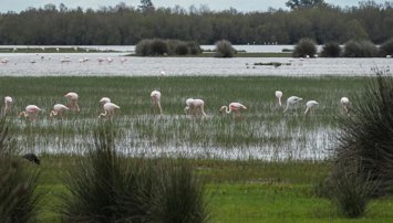 Es Andalucía - Huelva