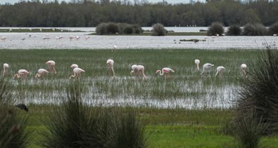 Es Andalucía - Huelva