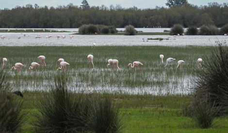 Es Andalucía - Huelva